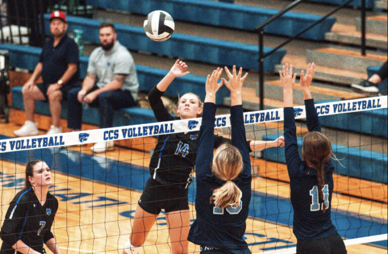 GIRLS VOLLEYBALL: Sectional Tournament Draw – The Report | A Free Local ...