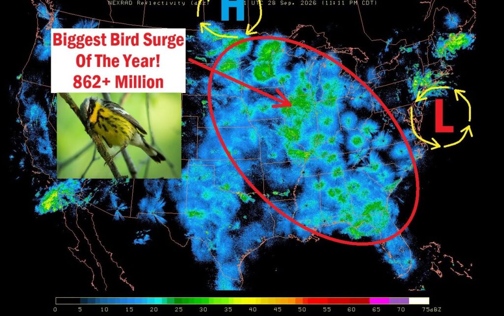 Nearly a Billion Birds Take Flight Across the U.S. in the Biggest Migration Surge of the Year as the Great Lakes Region Lights Up on Radar