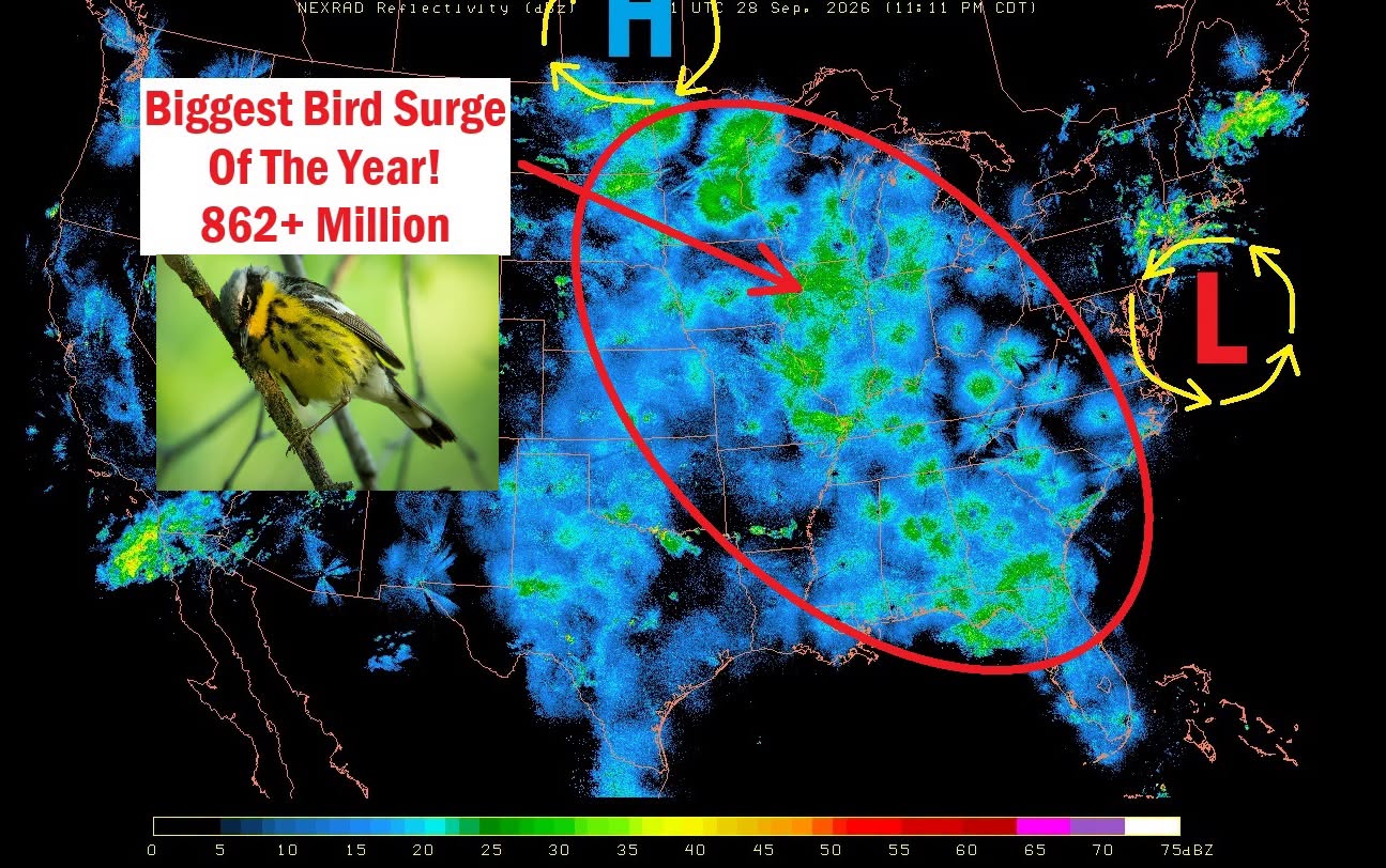Nearly a Billion Birds Take Flight Across the U.S. in the Biggest Migration Surge of the Year as the Great Lakes Region Lights Up on Radar