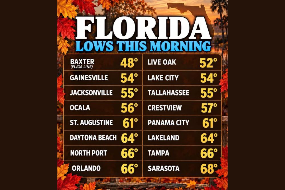Florida Wakes Up to Its Coolest Morning in Nearly Five Months as Temperatures Drop Into the 50s and First 40s Appear Near Georgia Line