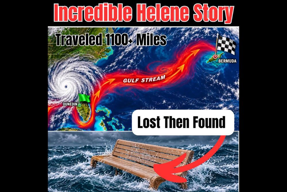 Memorial Bench Swept Away by Hurricane Helene From the Dunedin Causeway Found More Than 1,100 Miles Away in Bermuda Two Years Later