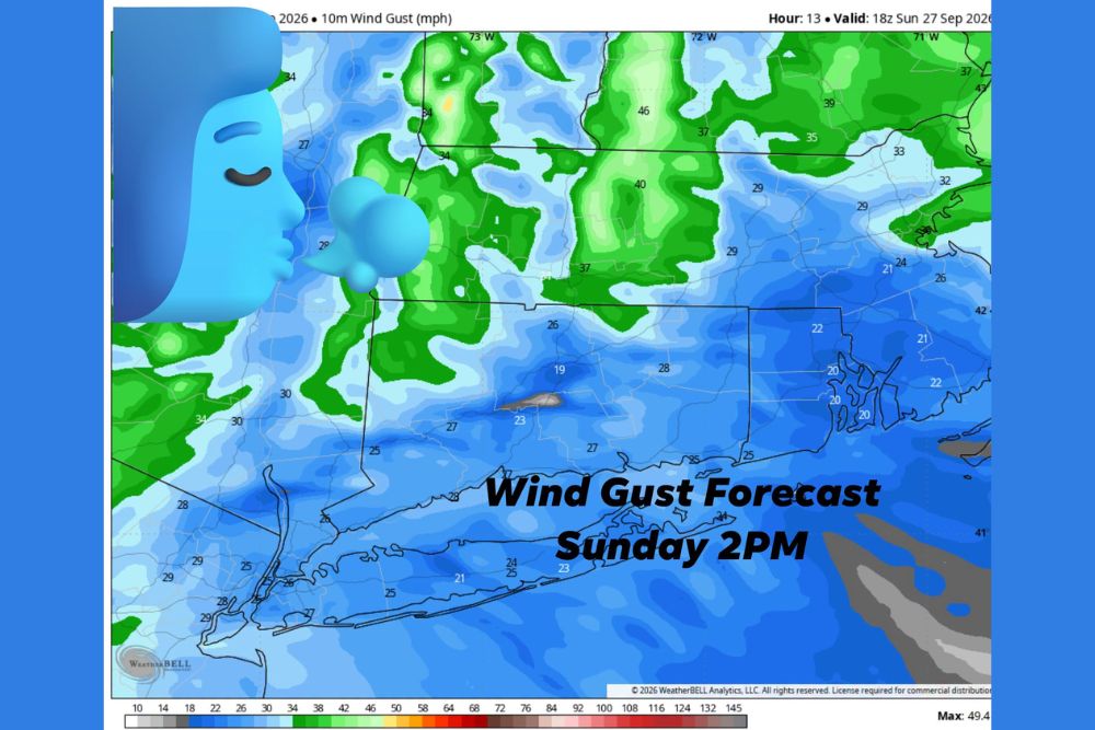 Strong Wind Gusts Ease Across Connecticut After Knocking Out Power to More Than 24,000 Customers, but Rain Lingers Into Monday
