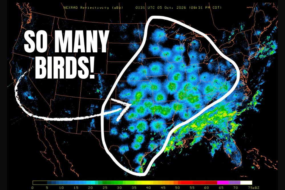 Bird Takeover Lights Up Radar Across the Central U.S. as an Estimated 800 Million Birds Take Flight in a Massive Fall Migration
