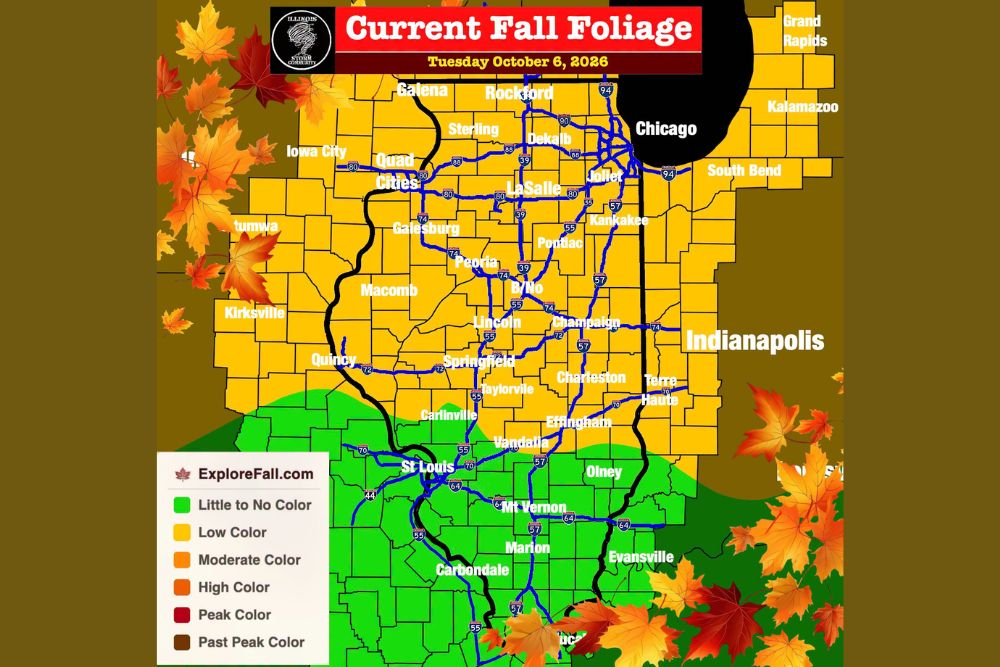 Fall Colors Begin Appearing Across Central and Northern Illinois With Peak Foliage Expected From Late October Into Early November