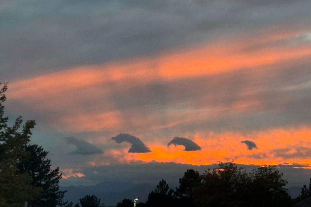 Rare Kelvin-Helmholtz Clouds Light Up the Sunset Sky Over Centennial, Colorado, Creating a Stunning Wave-Like Display