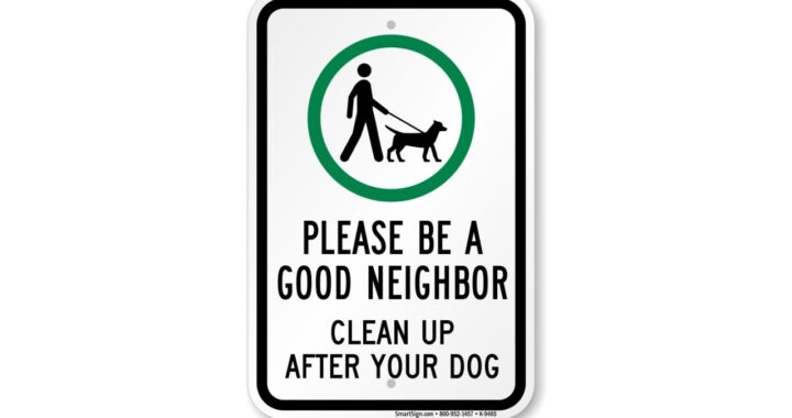 Sidewalk Showdown Caught on Camera: Man Sprints After Dog Walker With a Fistful of Poop and Smears It All Over Him