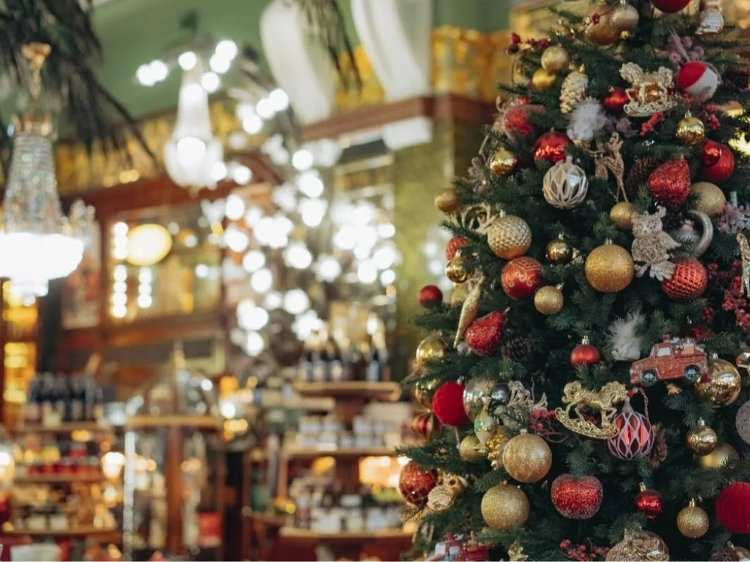 Florida business roundup featuring retail closures, Spirit Christmas stores, bagel shops, and restaurant news